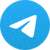 Telegram Windows版客户端图标