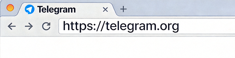 浏览器地址栏截图，展示手动输入https://telegram.org的正确方式